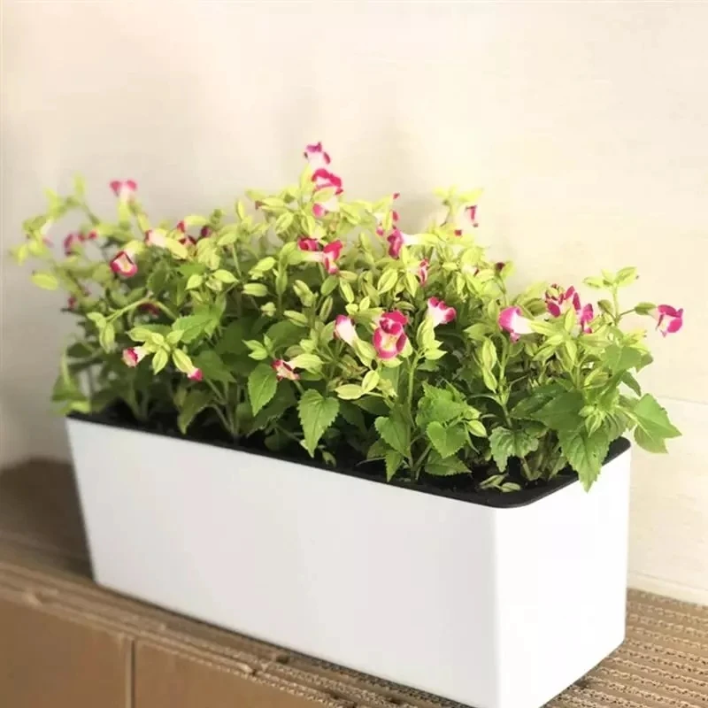 Automatic Plant Waterer - Прямоугольный ленивый цветочный горшок в горшке,