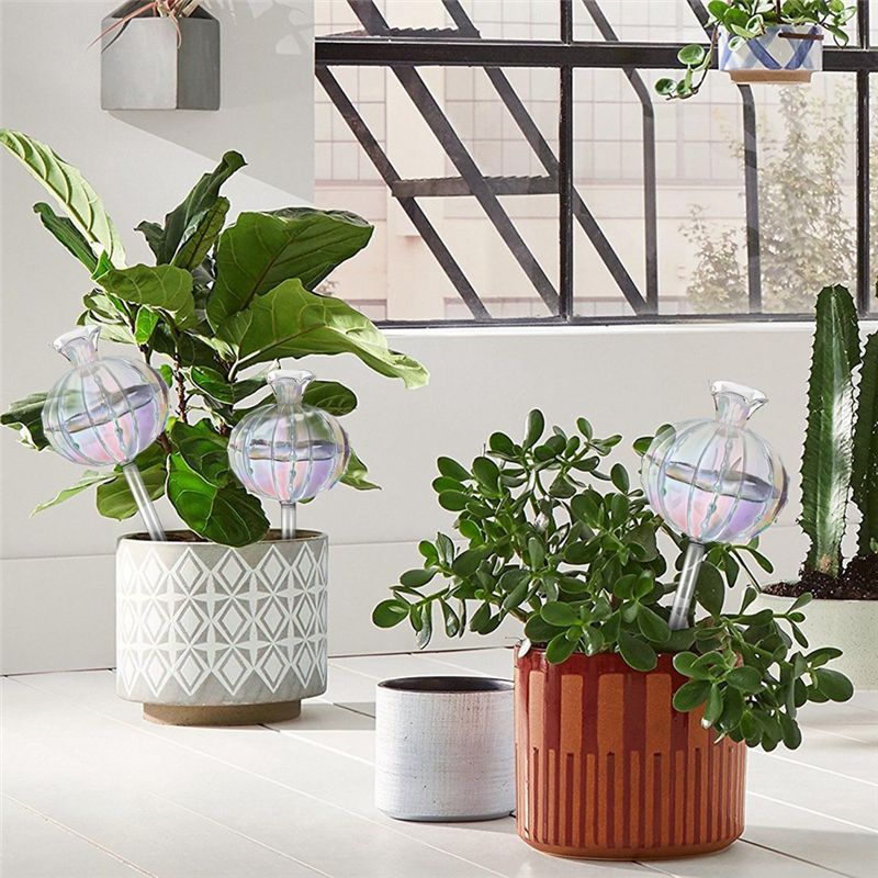 AA94 – влагозапасающие шары дл – обзор и цена Self-Watering Planter